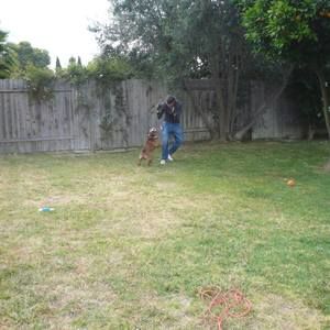 Meet your Posher, Patrick